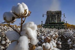 农发行累放棉花收购贷款2878亿,促进棉花产业高质量发展