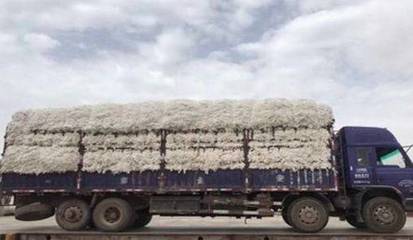 新疆棉花收购最新消息!全疆第一新棉价格高达.