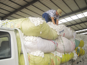 山东德州新棉收购价每公斤8.4~8.8元-商业报告-服装信息-联科绣花网