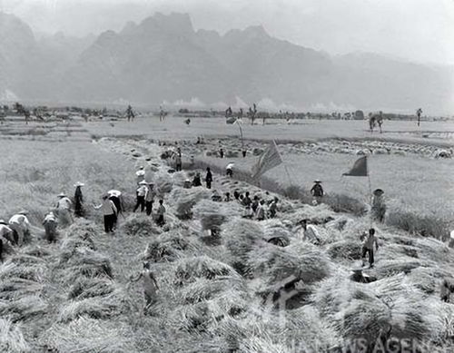 渭南市1960年老照片